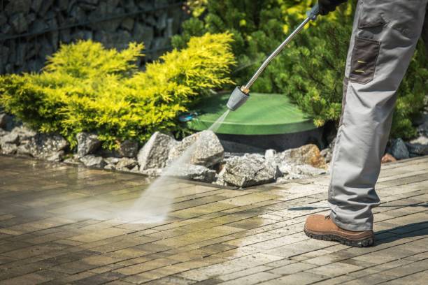 Best Gutter Cleaning  in Hillandale, MD